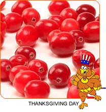 Thanksgiving Cranberry